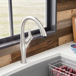 Artona Pull-Down Dual-Spray Kitchen Faucet - PVD Steel, 442037