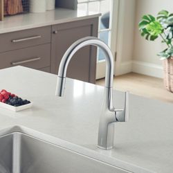 Rivana High-Arc Pull-Down Dual-Spray Kitchen Faucet - PVD Steel, 442678