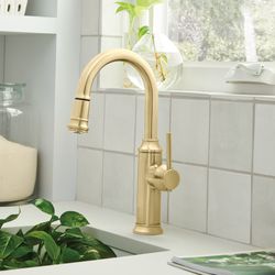 Empressa Pull-Down Bar Faucet - Satin Gold, 442983