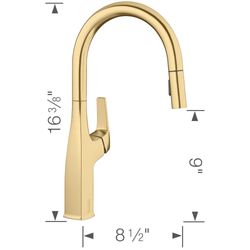 Rivana High-Arc Pull-Down Dual-Spray Kitchen Faucet - Satin Gold, 442985