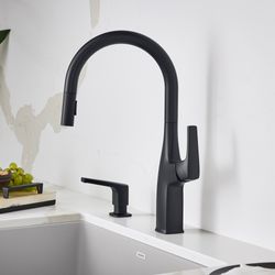 Rivana High-Arc Pull-Down Dual-Spray Kitchen Faucet - Matte Black, 443020