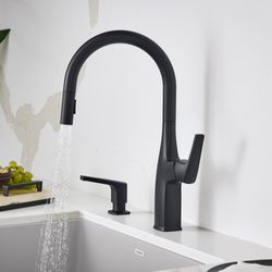 Rivana High-Arc Pull-Down Dual-Spray Kitchen Faucet - Matte Black, 443020