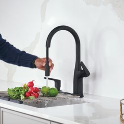 Rivana High-Arc Pull-Down Dual-Spray Kitchen Faucet - Matte Black, 443020