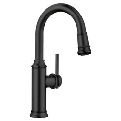 Empressa Pull-Down Bar Faucet - Matte Black, 443025