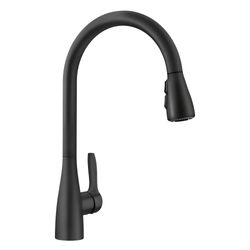 Atura Pull-Down Dual-Spray Kitchen Faucet - Matte Black, 443027