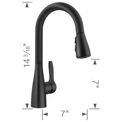 Atura Pull-Down Dual-Spray Bar Faucet - Matte Black, 443028