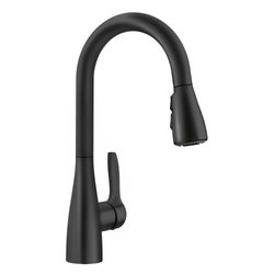 Atura Pull-Down Dual-Spray Bar Faucet - Matte Black, 443028