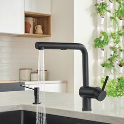 Linus Low Arc Pull-Out Dual-Spray Kitchen Faucet (Coal Black)